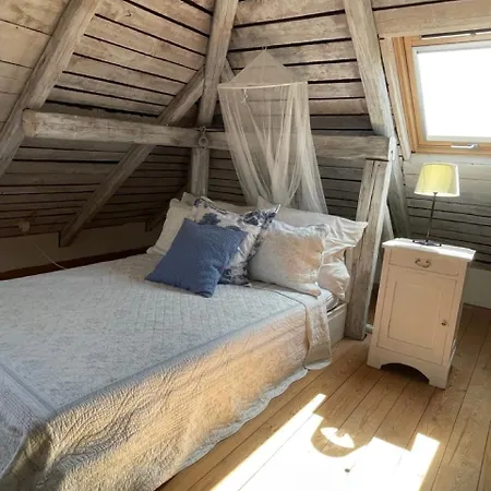 Csokonai Luxury
